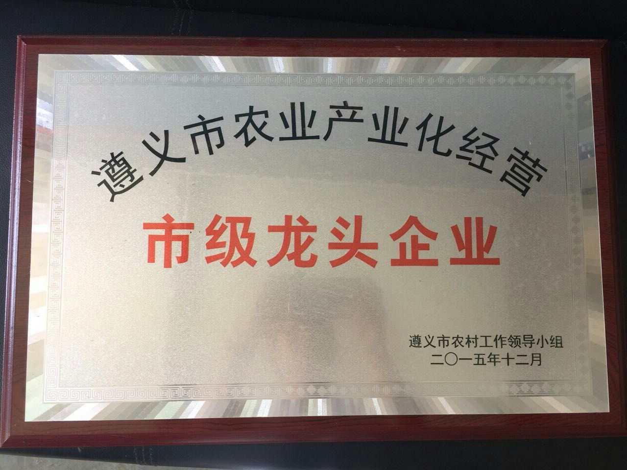 市級龍頭企業(yè)